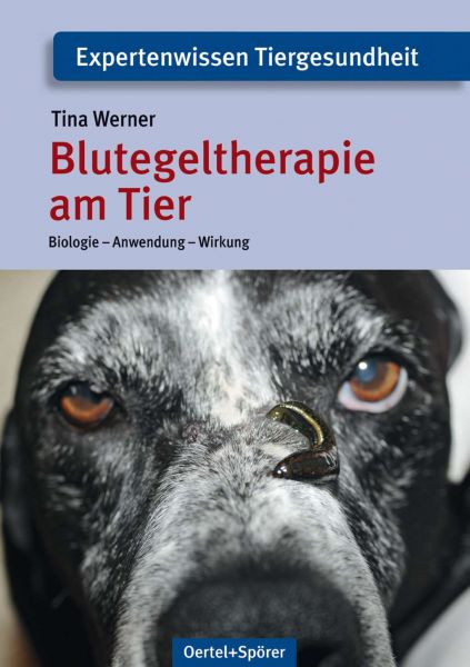 Blutegeltherapie am Tier