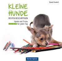 Kleine Hunde richtig beschäftigen Kleine Hunde richtig beschäftigen