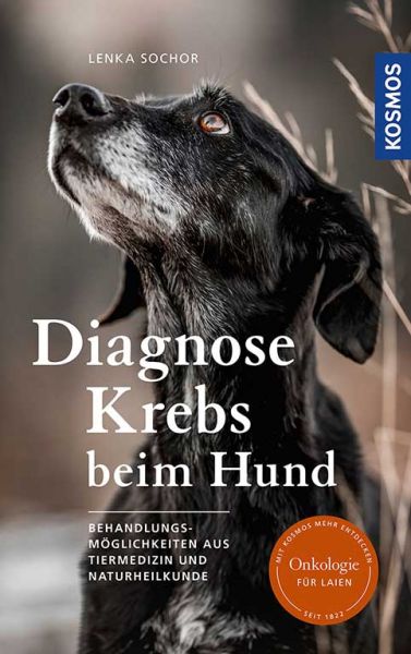 Diagnose Krebs beim Hund