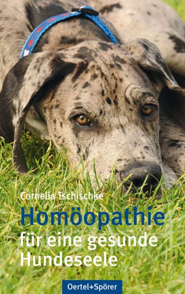 Homöopathie für eine gesunde Hundeseele