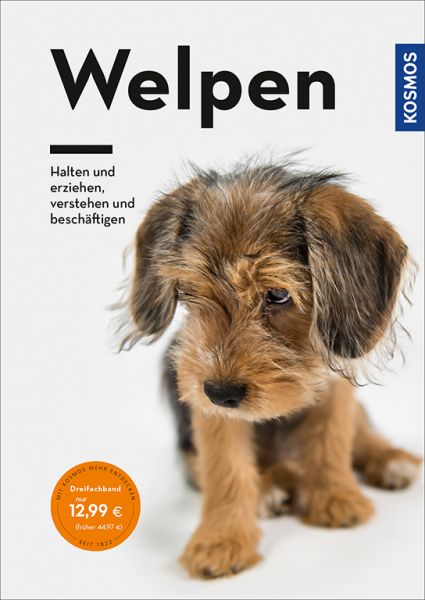 Welpen. Halten und erziehen, verstehen und beschäftigen