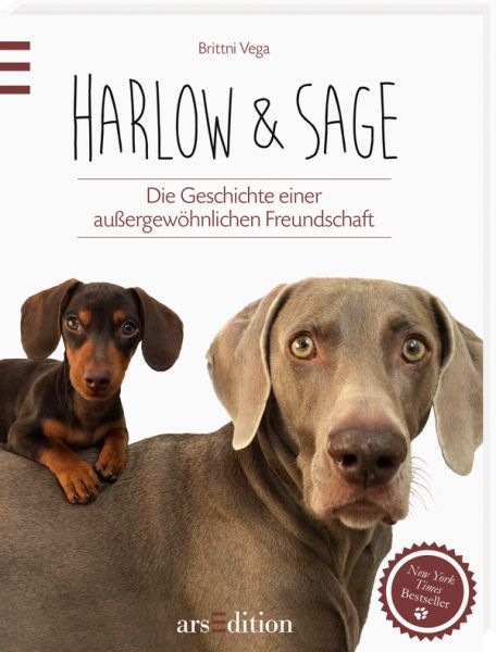 Harlow & Sage