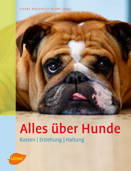 Alles über Hunde. Rassen, Erziehung, Haltung