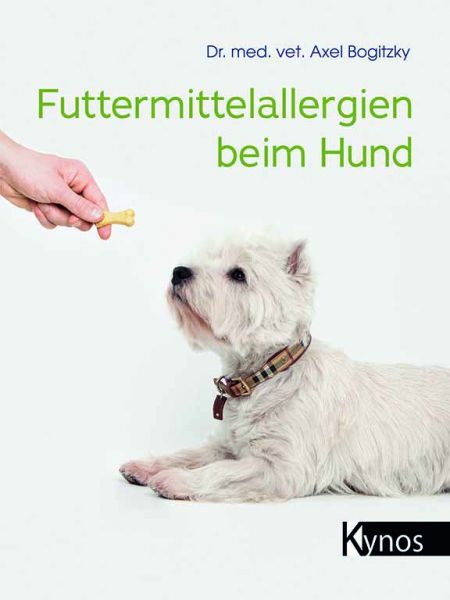 Futtermittelallergien beim Hund