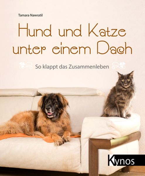 Hund und Katze unter einem Dach