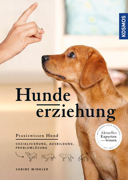 Hundeerziehung. Sozialisierung, Ausbildung, Problemlösung