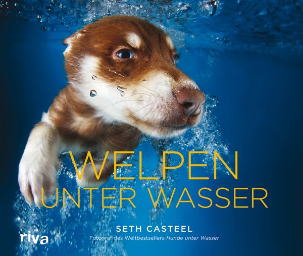 Welpen unter Wasser