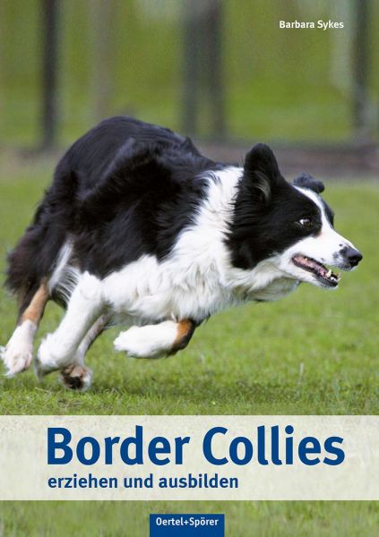 Border Collies - erziehen und ausbilden