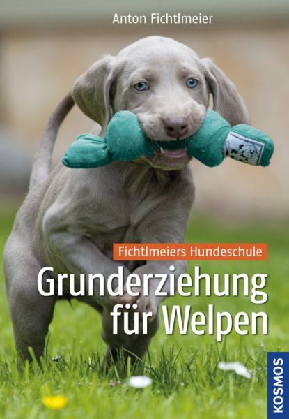 Grunderziehung für Welpen - Fichtlmeiers Hundeschule
