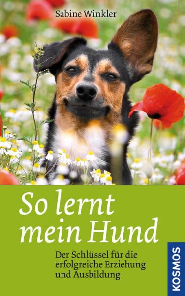 So lernt mein Hund