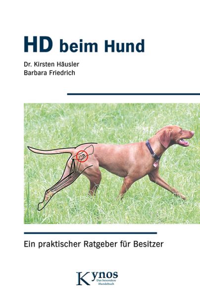 HD beim Hund