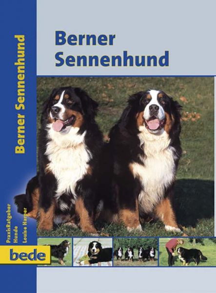 Berner Sennenhund