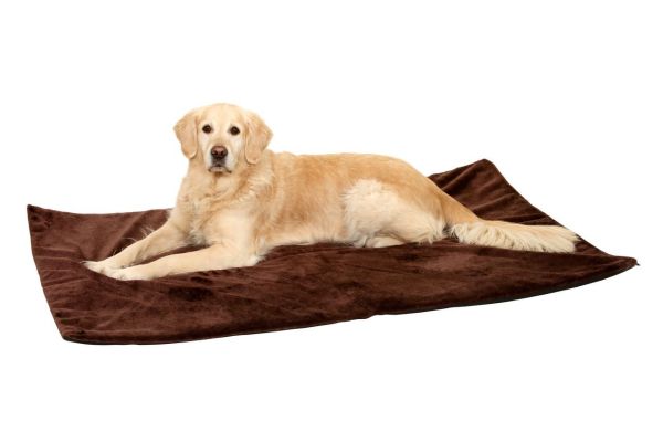 Isolierende Thermo Top Hundedecke