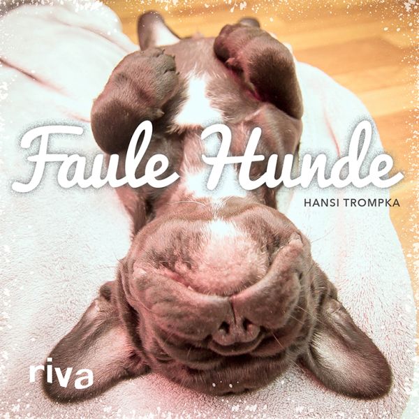 Faule Hunde