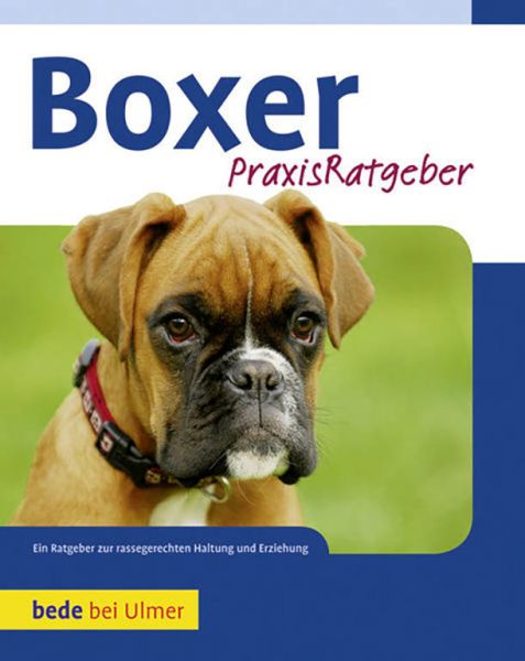 Praxisratgeber Boxer