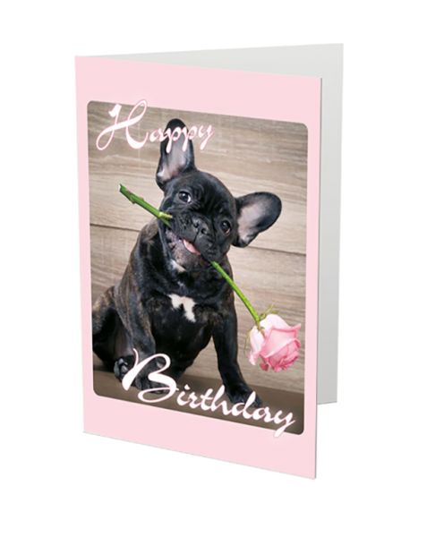 Klappkarte "Happy Birthday" (Bully / Französische Bulldogge)