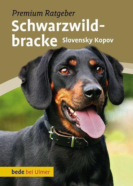 Schwarzwildbracke. Slovensky Kopov