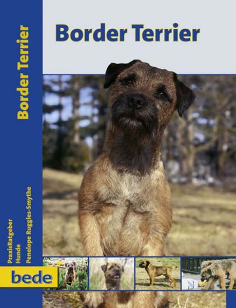 Border Terrier