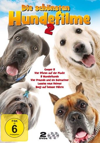 Die schönsten Hundefilme - Edition 2