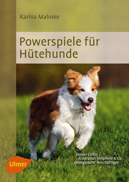 Powerspiele für Hütehunde