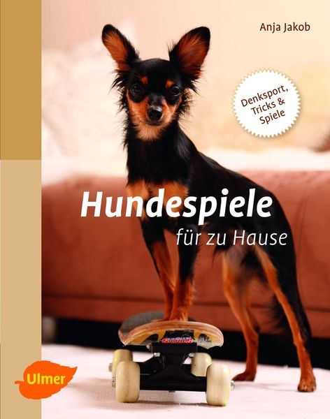 Hundespiele für zu Hause