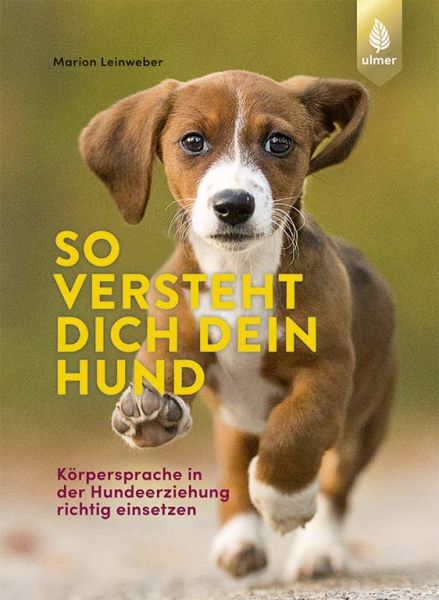 So versteht dich dein Hund