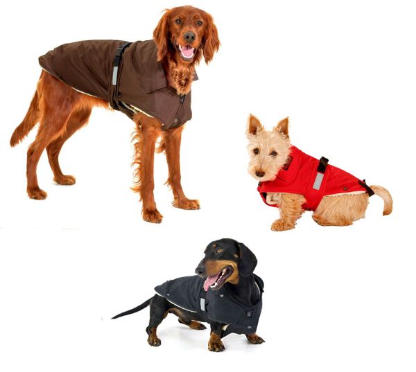 Hunde-Wintermantel No Limit
