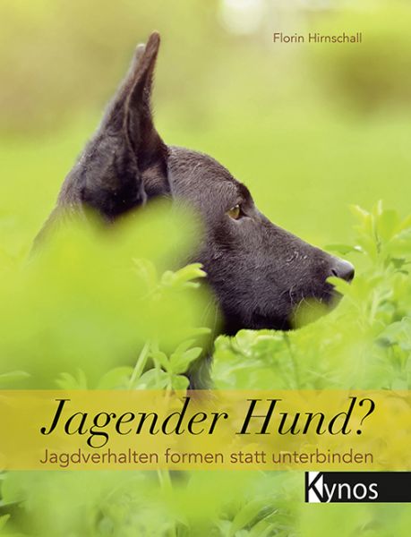 Jagender Hund? Jagdverhalten formen statt unterbinden