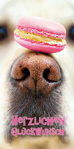 Glückwunsch-Klappkarte "Hundekeks"