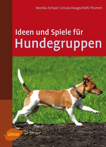 Ideen und Spiele für Hundegruppen