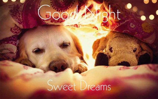 Kühlschrankmagnet "Good Night"