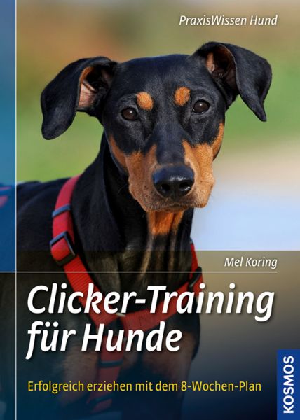 Clicker-Training für Hunde