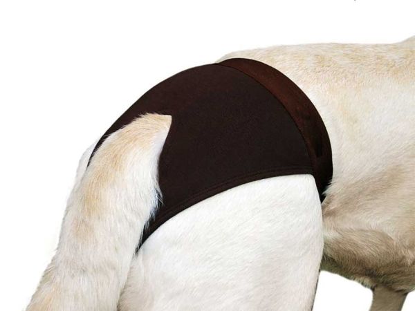 Hundehöschen Luvly, B: 25 - 30 cm braun