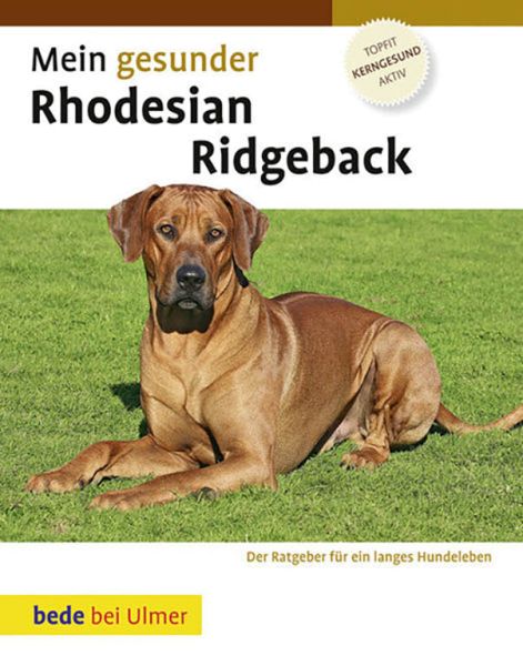 Mein gesunder Rhodesian Ridgeback