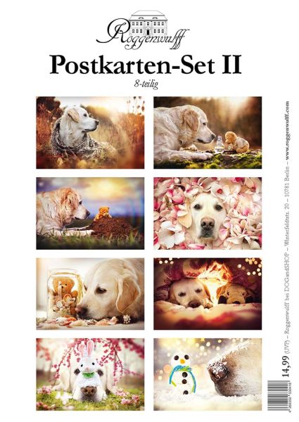 Postkarten-Set II - 8 zauberhafte Golden Retriever-Motive
