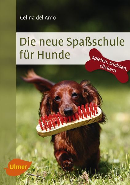 Die neue Spaßschule für Hunde