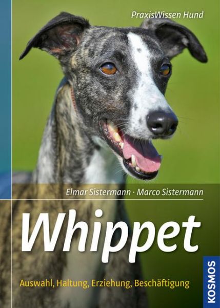 Whippet