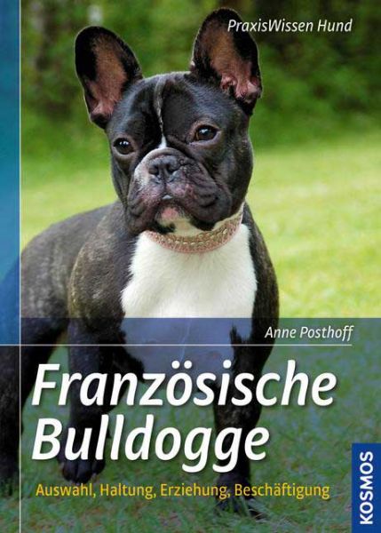 Französische Bullogge