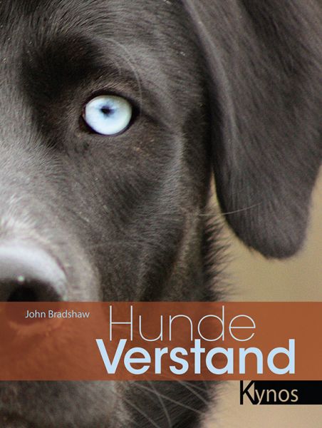 Hundeverstand