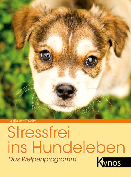 Stressfrei ins Hundeleben Das Welpenprogramm