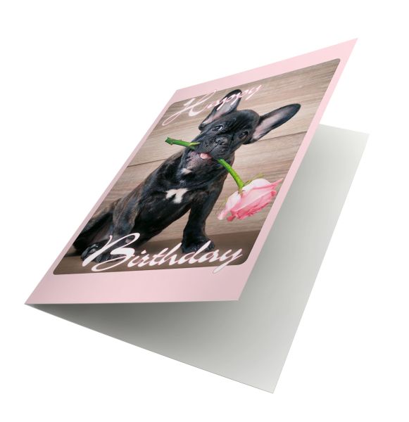 XXL-Geburtstagskarte "Happy Birthday" (Bully / Französische Bulldogge)