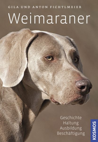 Weimaraner von Anton Fichtlmeier