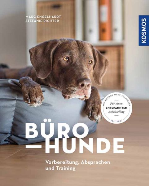 Bürohunde. Vorbereitung, Absprachen und Training