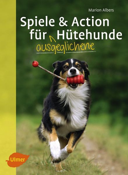 Spiele und Action für ausgeglichene Hütehunde