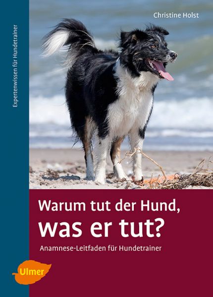 Warum tut der Hund, was er tut?