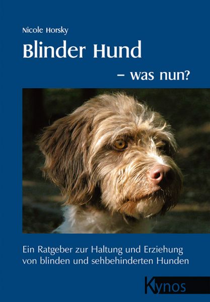 Blinder Hund - was nun?