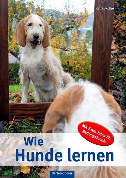 Wie Hunde lernen